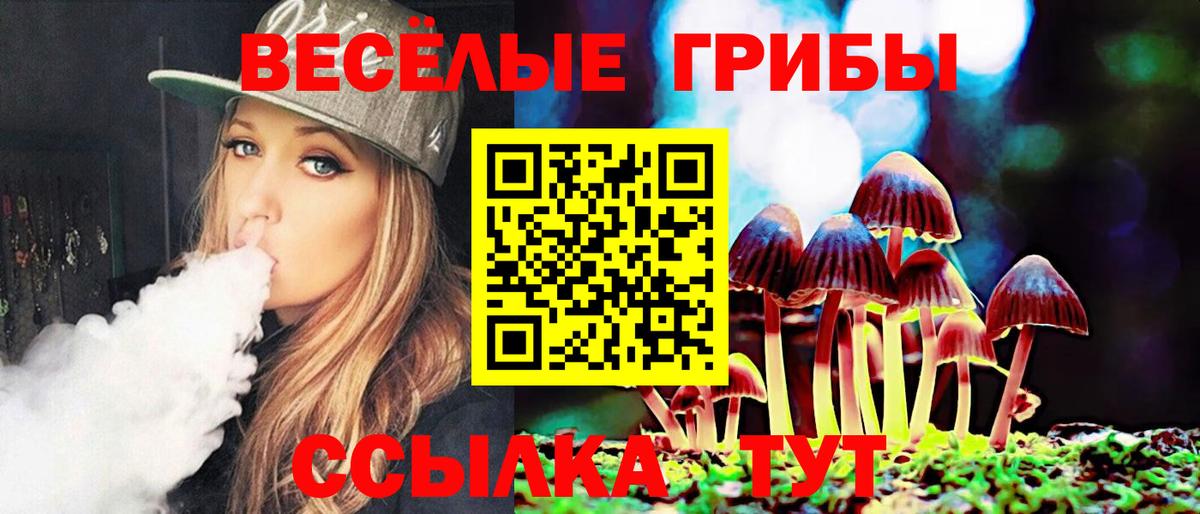 Галлюциногенные грибы Psilocybine cubensis Южно-Сахалинск